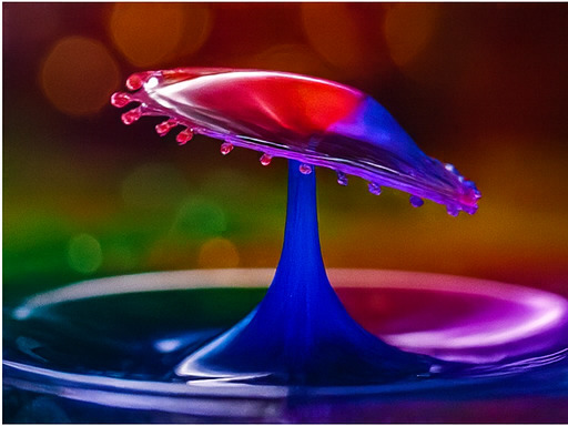 혁신적인 탐험 공간